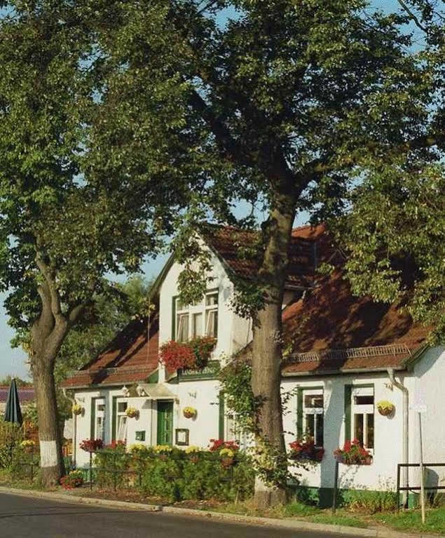 Hotel Und Restaurant Landhaus Honow Hoppegarten Exterior photo